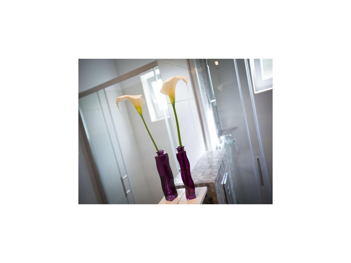 Apartment Villa Roza - One-Bedroom Apartment - Outdoor photo 4