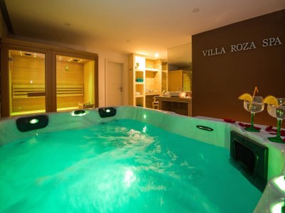 Apartment Villa Roza - One-Bedroom Apartment - Outdoor photo 23