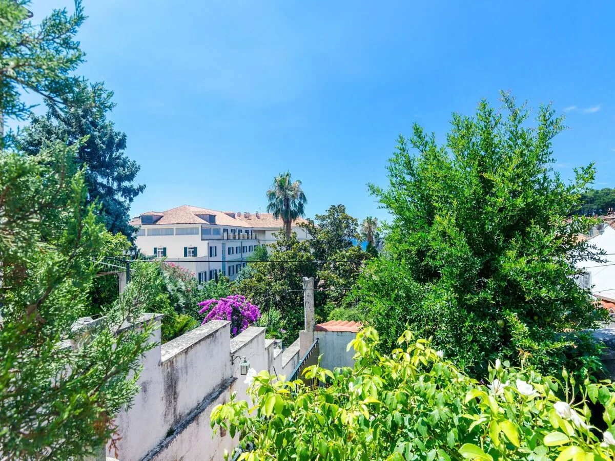 Apartment Apartments Paula - One Bedroom Apartment with Shared Terrace - Outdoor photo 3