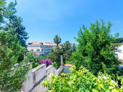 Apartment Apartments Paula - One Bedroom Apartment with Shared Terrace - Outdoor photo 3