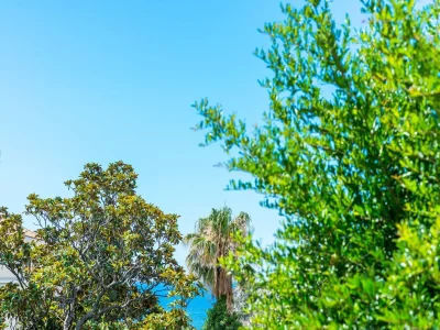 Apartment Apartments Paula - One Bedroom Apartment with Shared Terrace - Outdoor photo 18