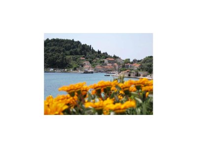 Apartment Guest House Simunovic - Double Room No3 - Outdoor photo 17