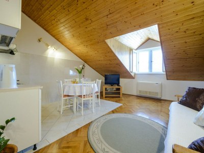 Apartment Apartment Matic - Two-Bedroom Apartment - Features photo 10