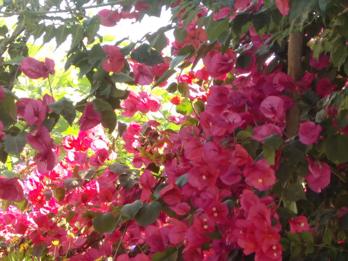 Holiday house Casa Souleiado - Outdoor photo 4