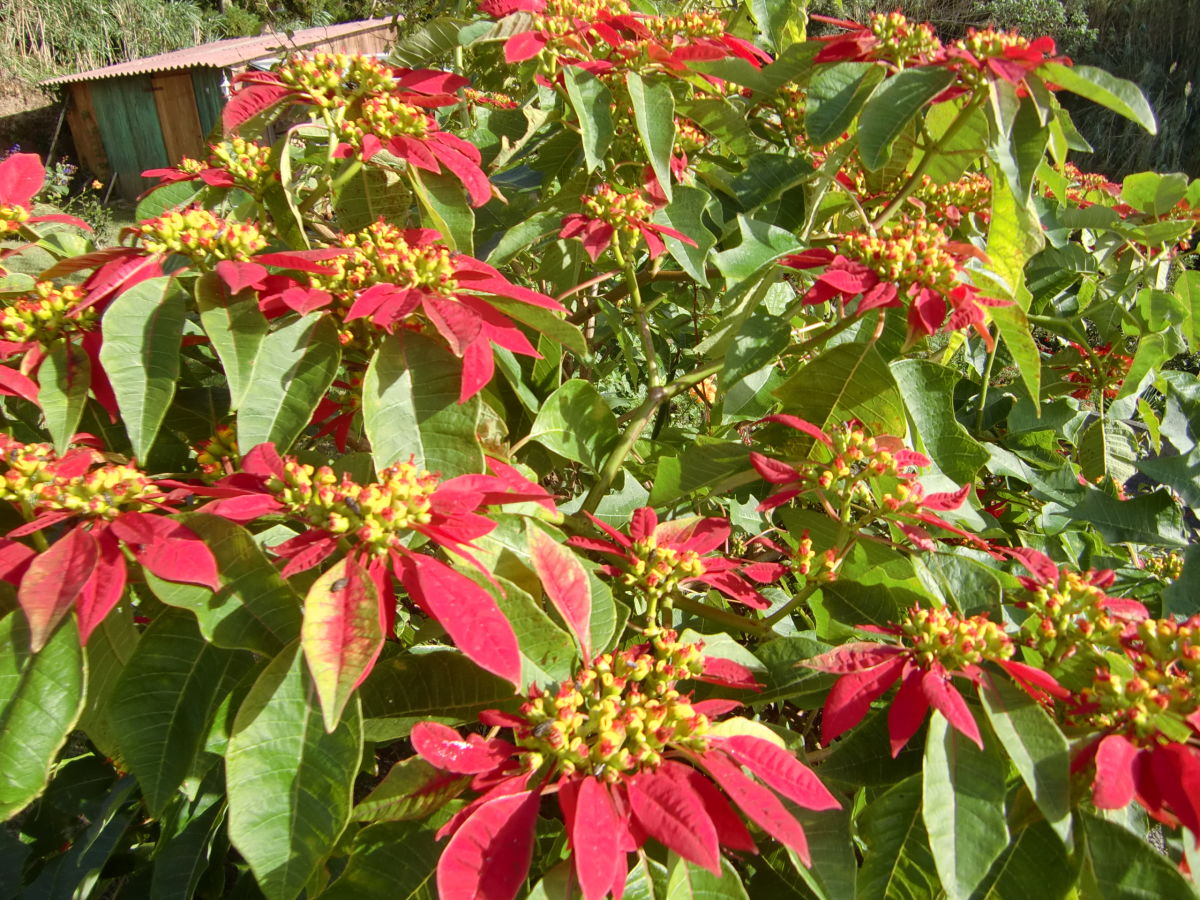 Holiday house Casa Souleiado - Outdoor photo 5