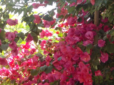 Holiday house Casa Souleiado - Outdoor photo 4