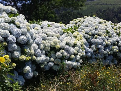 Holiday house Casa Souleiado - Environment photo 24