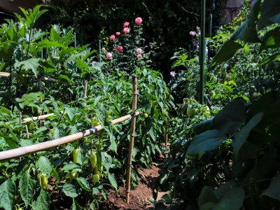 Apartment Apartment Garden M&M - One Bedroom Apartment - Outdoor photo 24