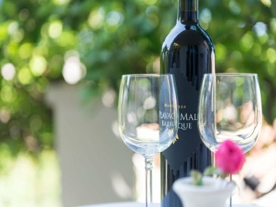 Apartment Apartments Gaura - One-Bedroom Apartment with Terrace - Features photo 4