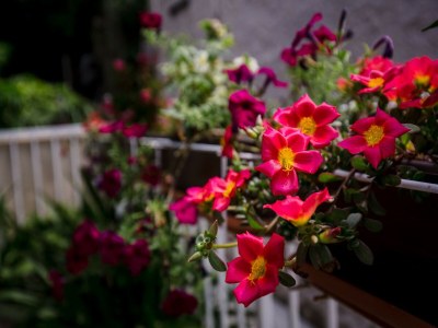 Apartment Rooms Edna - Double Room - Outdoor photo 5