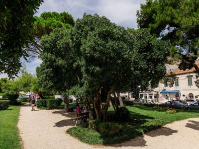 Apartment Rooms Edna - Twin Room - Outdoor photo 12