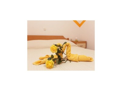 Apartment Apartments Pojko - One-Bedroom Apartment with Terrace (Yellow) - Features photo 7