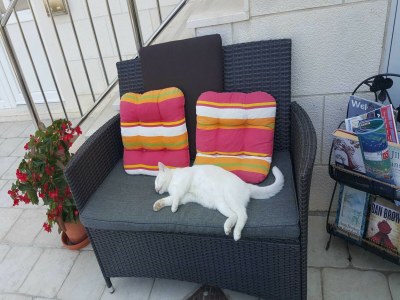 Apartment Apartments Pojko - Standard One-Bedroom Apartment with Terrace (Red) - Outdoor photo 20