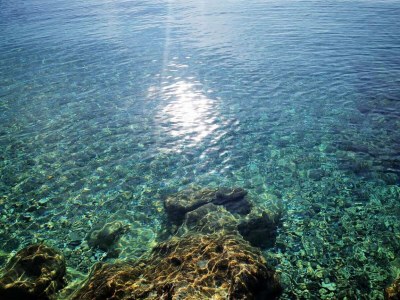 Apartment Apartments Pojko - Standard One-Bedroom Apartment with Terrace (Red) - Outdoor photo 21