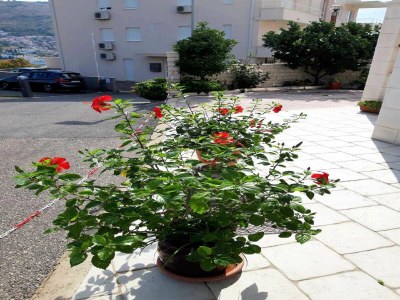 Apartment Apartments Pojko - Standard One-Bedroom Apartment with Terrace (Red) - Outdoor photo 22