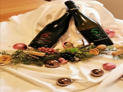 Apartment Apartments Pojko - Standard One-Bedroom Apartment with Terrace (Red) - Outdoor photo 24