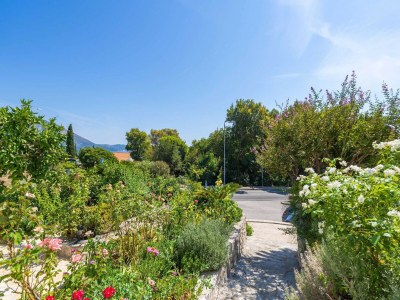 Apartment Apartments Djurkovic - Two-Bedroom Apartment with Shared Terrace and Sea View - Outdoor photo 5