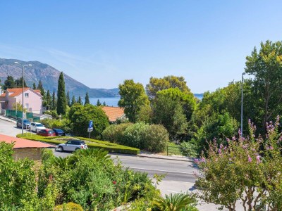Apartment Apartments Djurkovic - Deluxe Studio with Balcony and Garden View - Outdoor photo 5