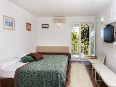 Apartment Apartments Djurkovic - Deluxe Studio with Balcony and Garden View - Features photo 12