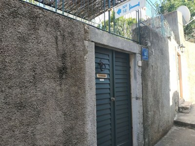 Apartment Apartment Saul Cavtat  - One Bedroom Apartment with Terrace and Sea View - Outdoor photo 4