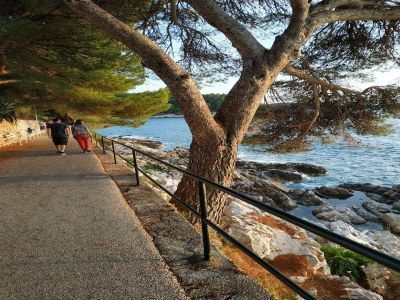 Apartment Apartment Saul Cavtat  - One Bedroom Apartment with Terrace and Sea View - Outdoor photo 14