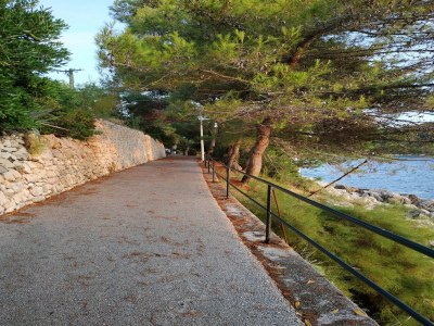 Apartment Apartment Saul Cavtat  - One Bedroom Apartment with Terrace and Sea View - Outdoor photo 16