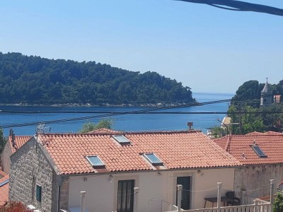 Apartment Apartment Saul Cavtat  - One Bedroom Apartment with Terrace and Sea View - Outdoor photo 21