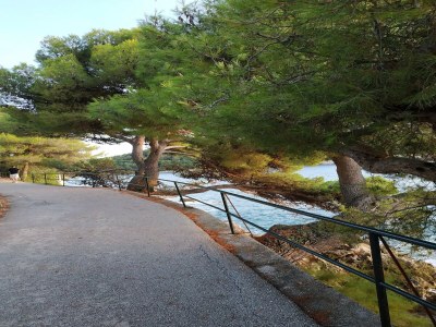 Apartment Apartment Saul Cavtat  - One Bedroom Apartment with Terrace and Sea View - Outdoor photo 22