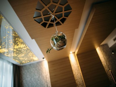 Apartment Rooms Lejletul (ST) - Superior Double Room with Square View (Kadr) - Outdoor photo 7