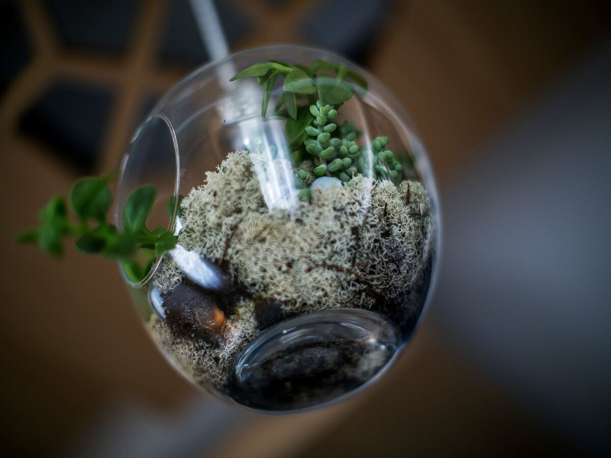 Apartment Rooms Lejletul (ST) - Deluxe Double Room with Square View (Berat) - Outdoor photo 5