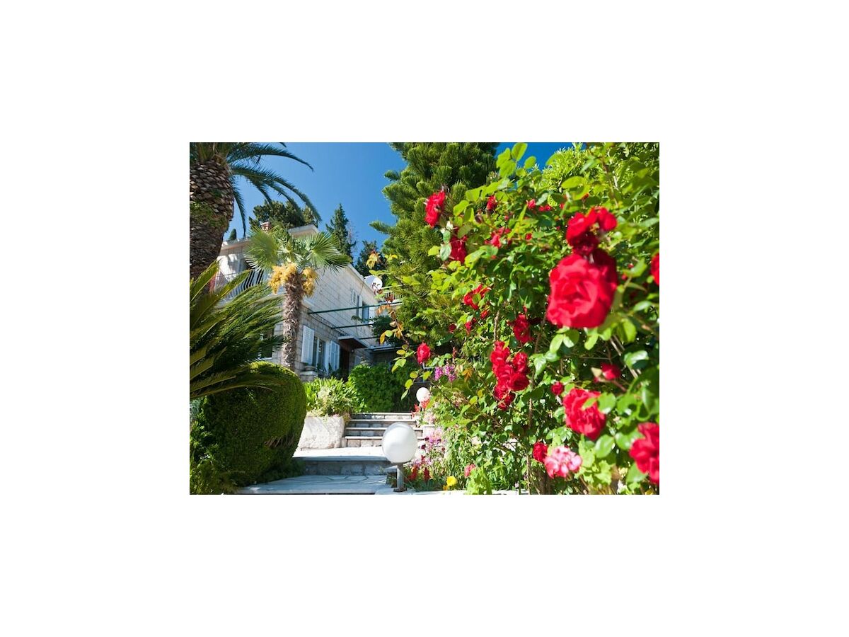 Apartment Guest House Villa Nina- Double Room with Garden View (S3 -Supetar) - Outdoor photo 3