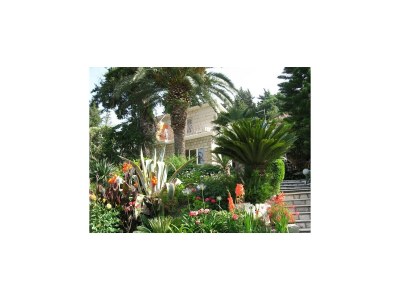 Apartment Guest House Villa Nina- Double Room with Garden View (S3 -Supetar) - Outdoor photo 4