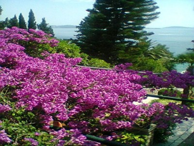 Apartment Guest House Villa Nina- Double Room with Garden View (S3 -Supetar) - Outdoor photo 11