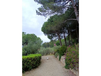 Holiday apartment Villa Gio Limone - Outdoor photo 8