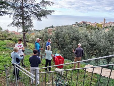 Holiday apartment Villa Gio Limone - Outdoor photo 12