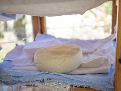 Holiday house Country House Bakicevo - Two Bedroom Apartment with Terrace - Outdoor photo 11