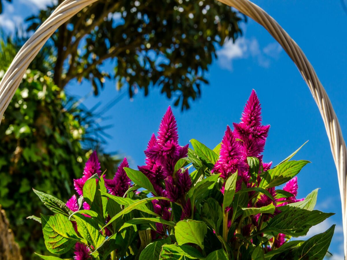 Apartment Apartment Bay Of Dreams - Two-Bedroom Apartment with Terrace and Sea View - Outdoor photo 2