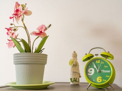 Apartment Apartment Lolo - Two Bedroom Apartment with Loggia and Street View - Outdoor photo 41