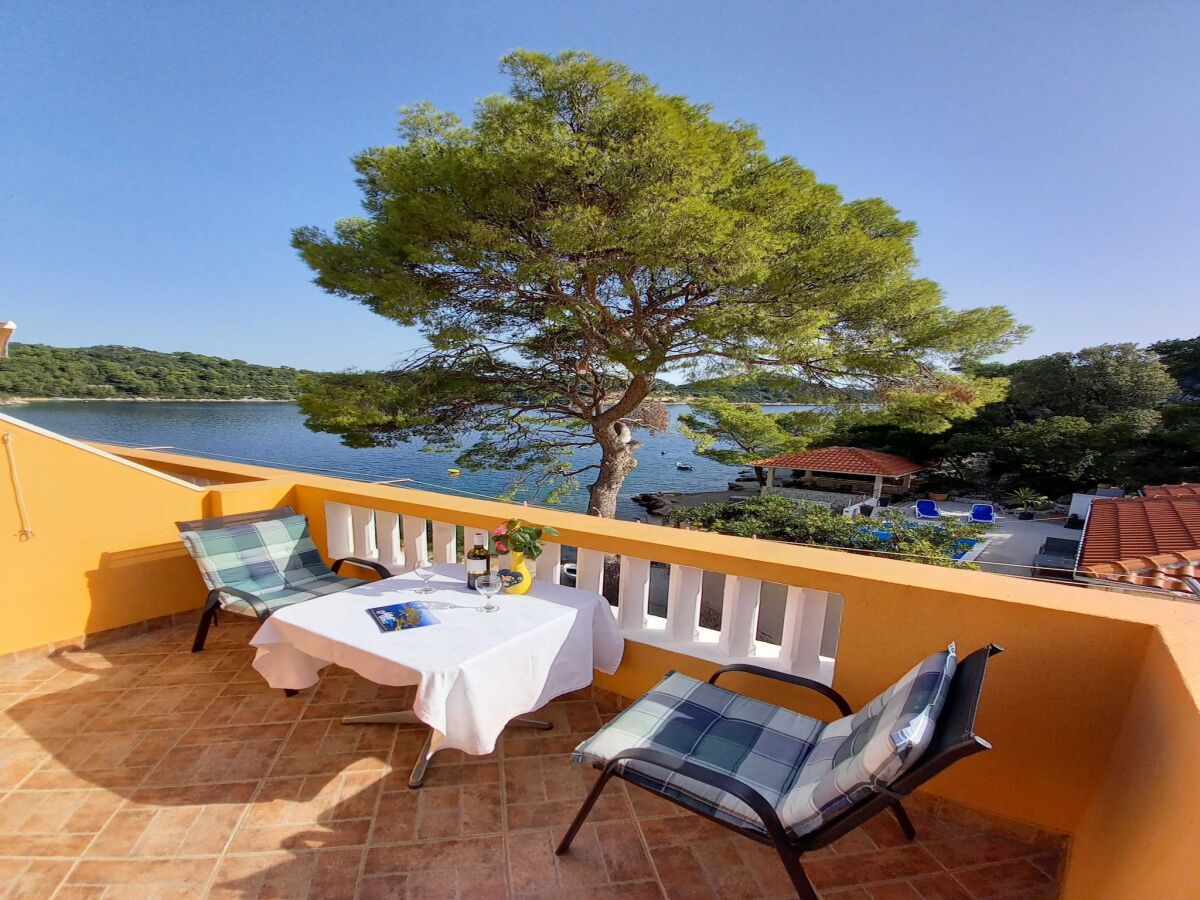 Apartment Apartments Vinko Mljet- One-Bedroom Apartment with Terrace (A5)