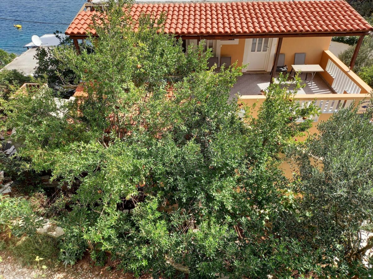 Apartment Apartments Vinko Mljet- One-Bedroom Apartment with Terrace (A5) - Outdoor photo 3