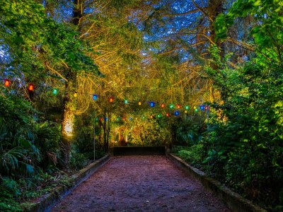 Villa La Gioiosa - Outdoor photo 9