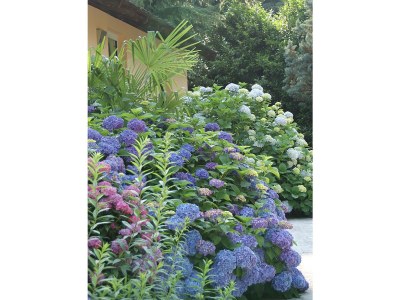 Villa La Gioiosa - Environment photo 23