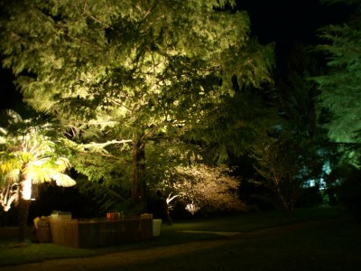 Villa La Gioiosa - Environment photo 26