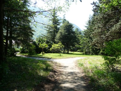 Villa La Gioiosa - Document photo 28