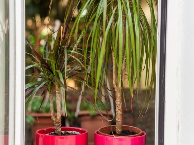 Apartment Apartment Caceris -  Comfort Studio Apartment with Terrace - Outdoor photo 4