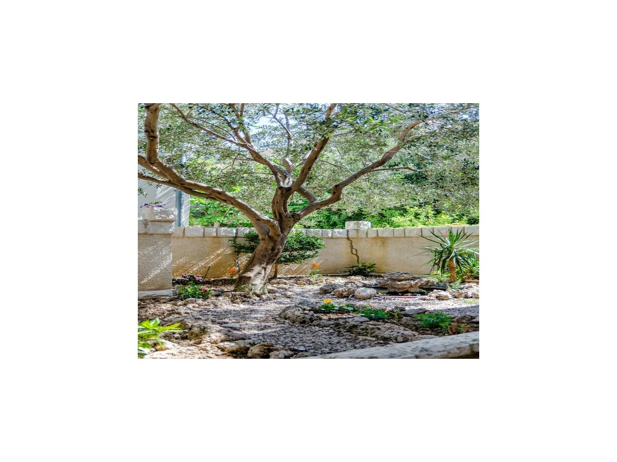 Apartment Villa Kosa - Two Bedroom Apartment with Terrace and Sea View (A1 Prizemlje) - Outdoor photo 3