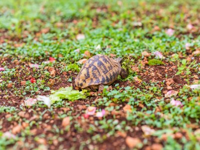 Apartment Miracle Apartments - Studio Apartment with Terrace and City View - Outdoor photo 5