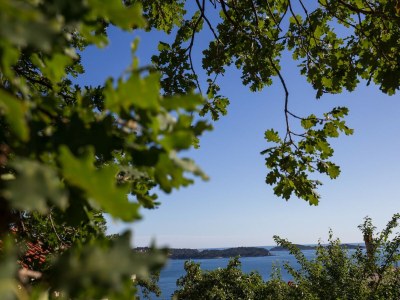 Apartment Villa Dubravka - Superior Studio Apartment with Balcony and Sea View (Apartman 3) - Outdoor photo 19