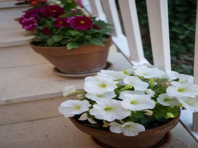 Apartment Villa Dubravka - Premium One Bedroom Apartment with Balcony and Sea View (Apartman 5) - Outdoor photo 13