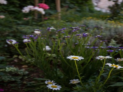 Apartment Villa Dubravka - Superior One Bedroom Apartment with Balcony and Sea View (Apartman 6) - Outdoor photo 6